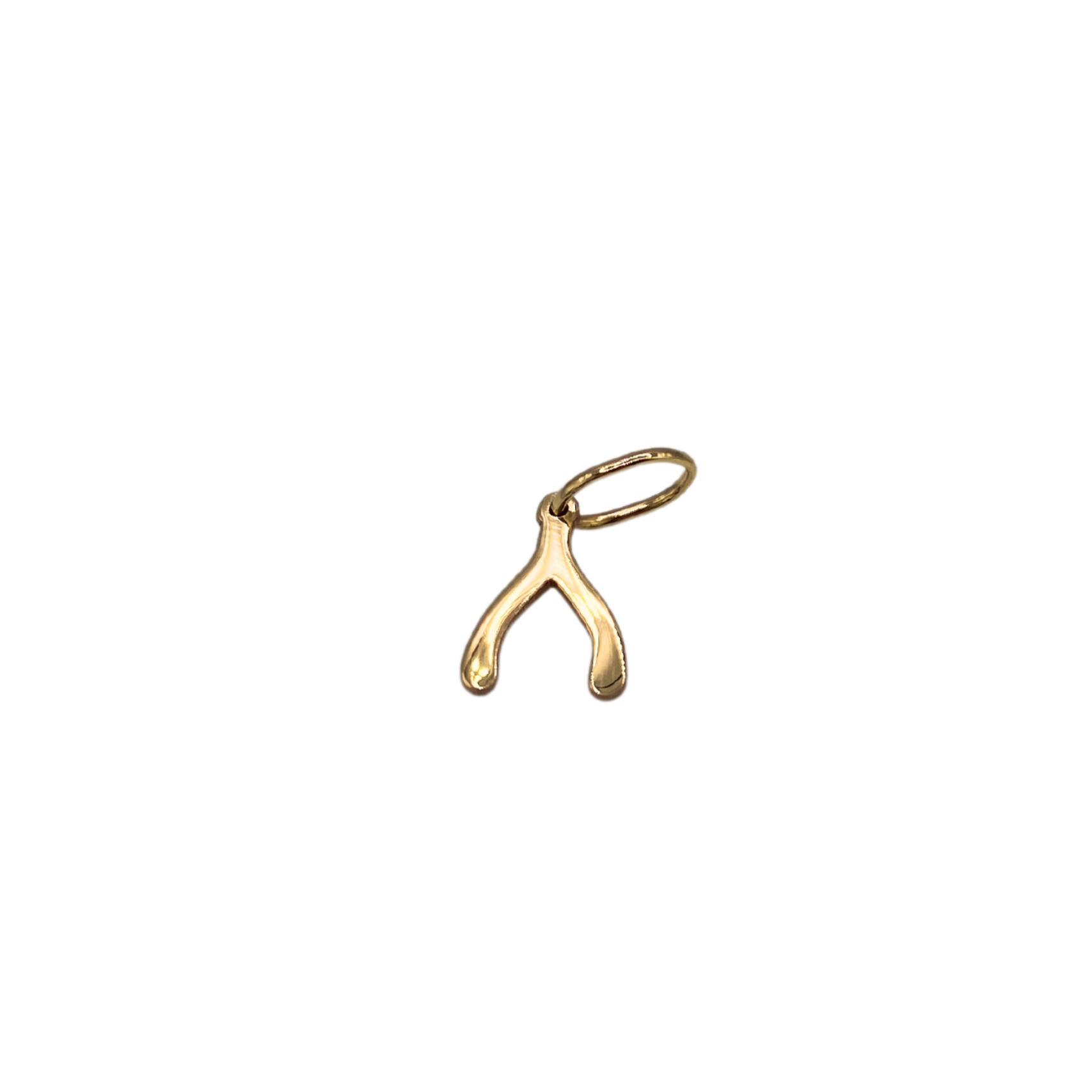 14k Gold Wishbone Charm