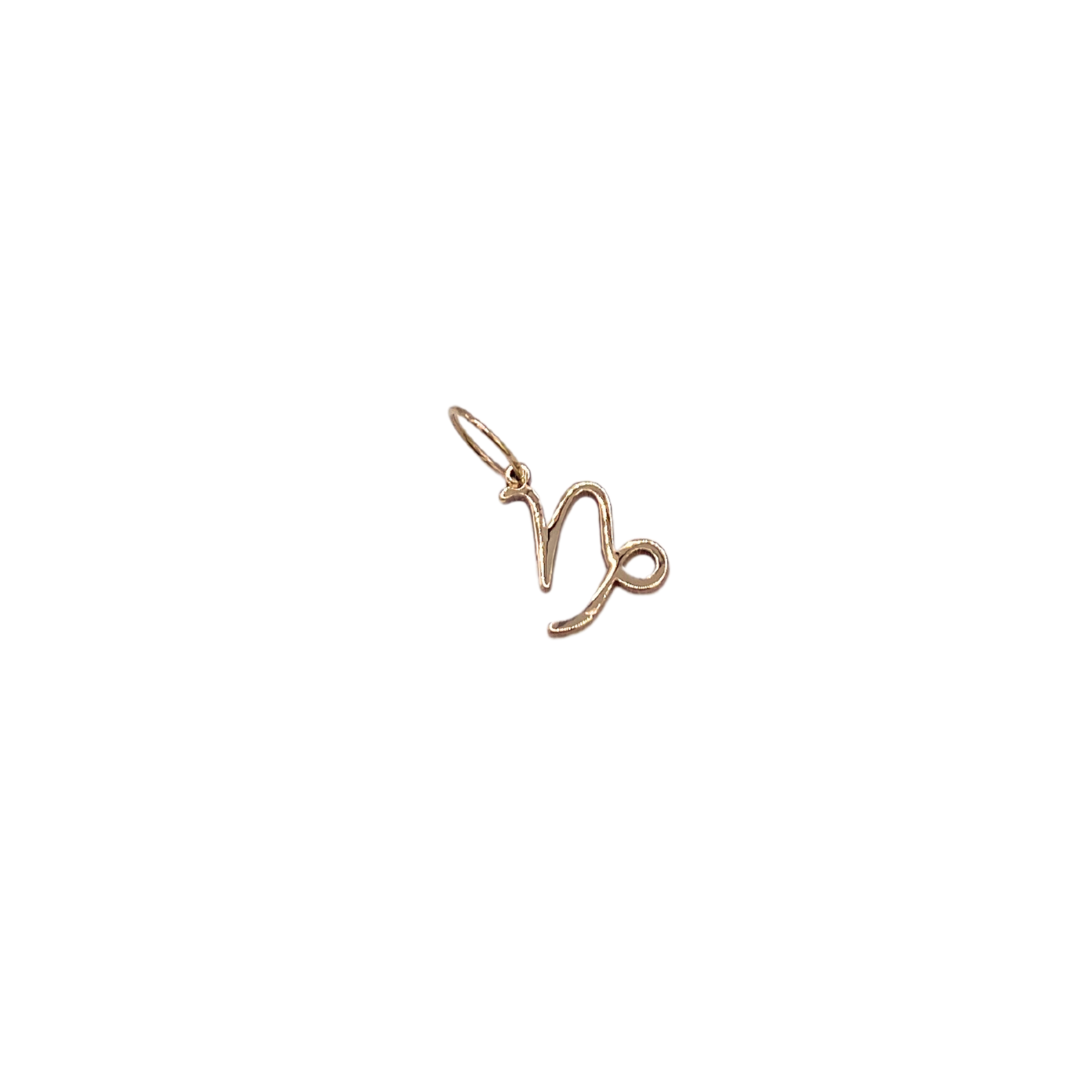 14k Gold Horoscope Sign Charm