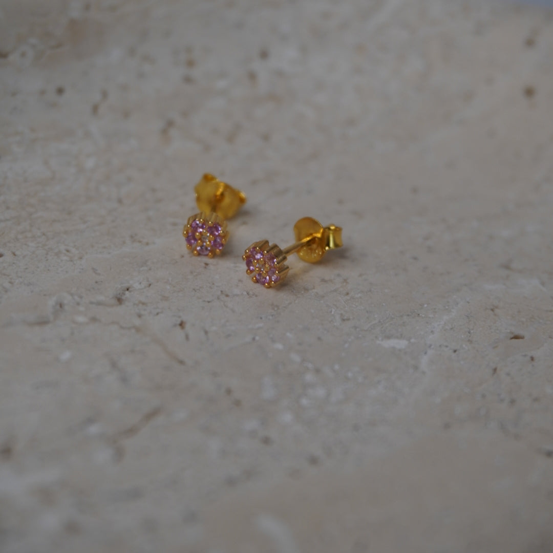 5 Petal Flowers